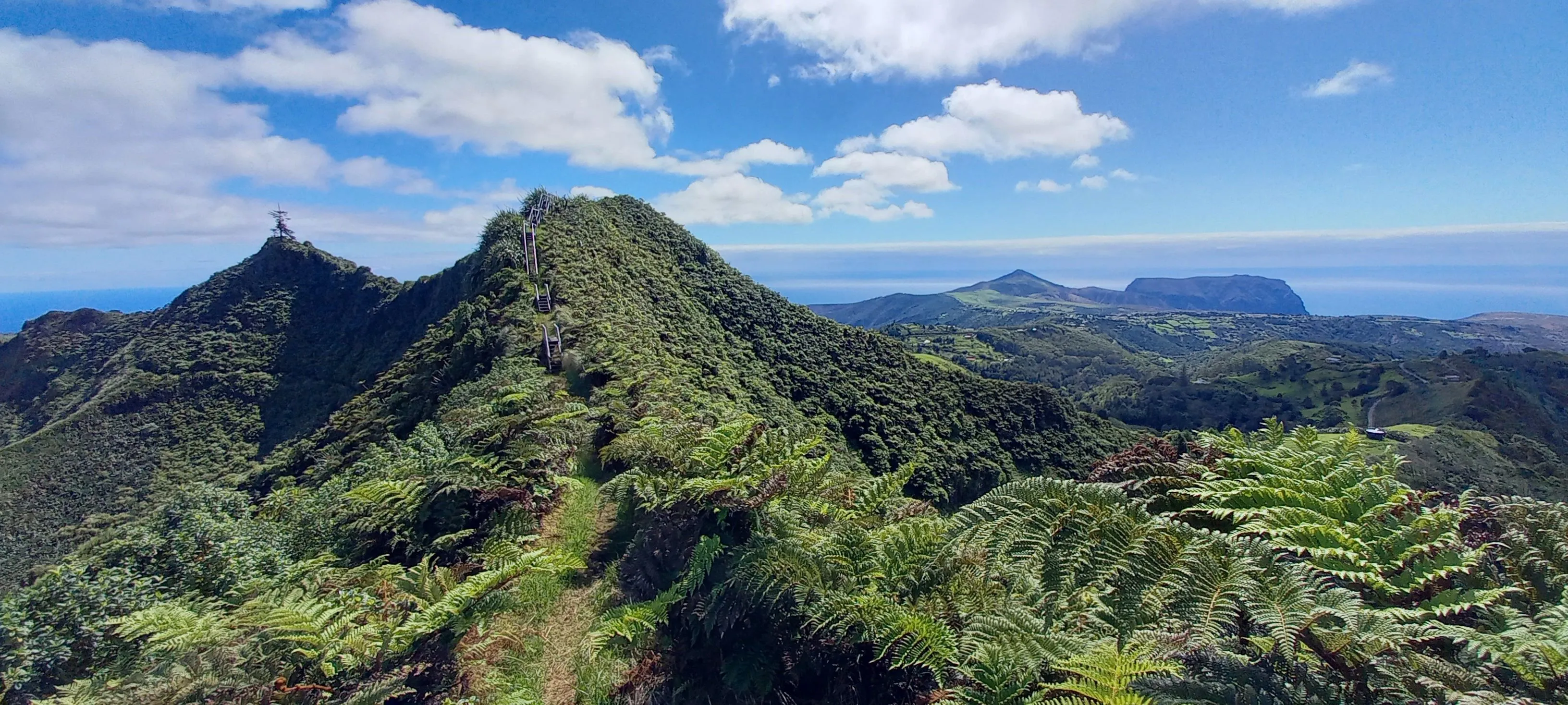 A lush green mountain scape in St Helena Peaks backed by a blue sky and fluffy white clouds.